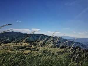 Trekking alla Sorgente del Tevere: il valico del Monte Fumaiolo