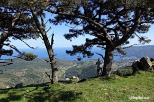 Tappe Grande Traversata Elbana e info utili da sapere