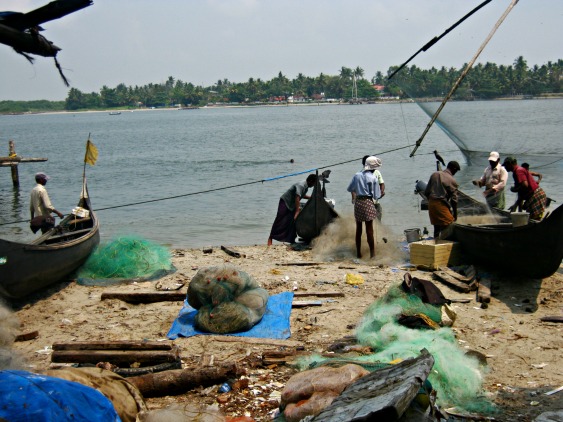 Immagini di pesca, Kerala