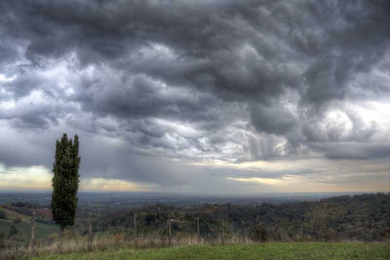 photo credit: Southern Rain - Montericco, Albinea (RE) Italy - November 6, 2012 via photopin (license)