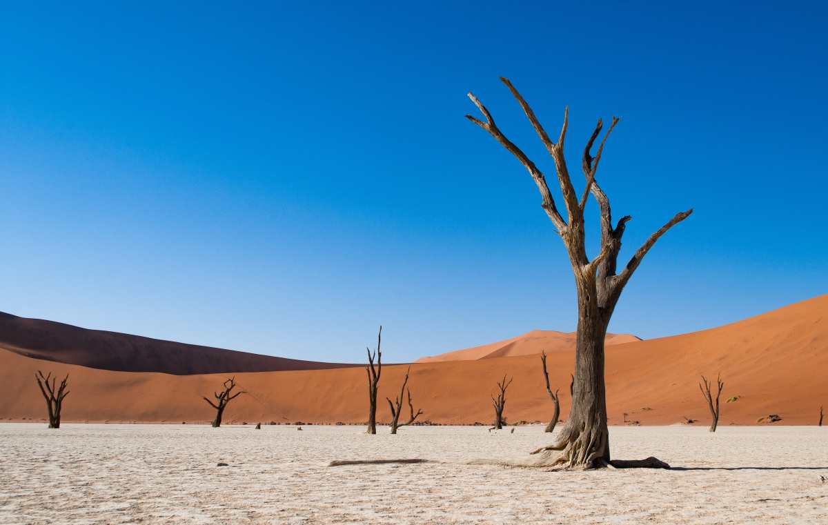 Namibia: quali le tappe da non perdere? - Fringe In Travel