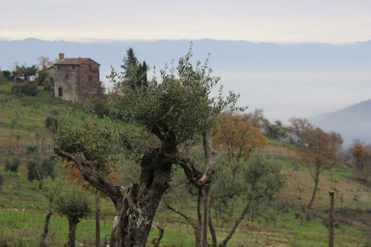 via degli dei paesaggio