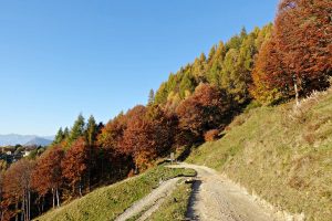 trekking vicino milano rifugio disolin