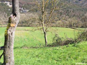 Organizzare il Cammino di San Benedetto: consigli