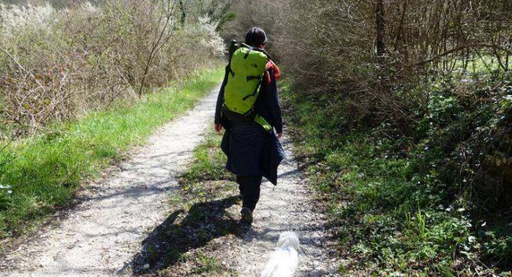 organizzare cammino san benedetto