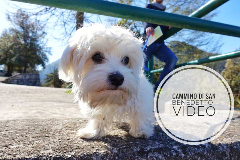 cammino di san benedetto VIDEO 2