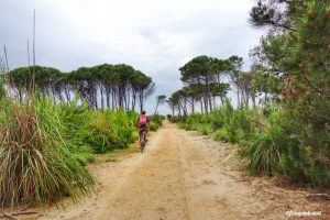 parco san rossore