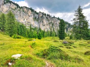 Escursione Rifugio Bec de Roces – Arabba: camminare in una fiaba