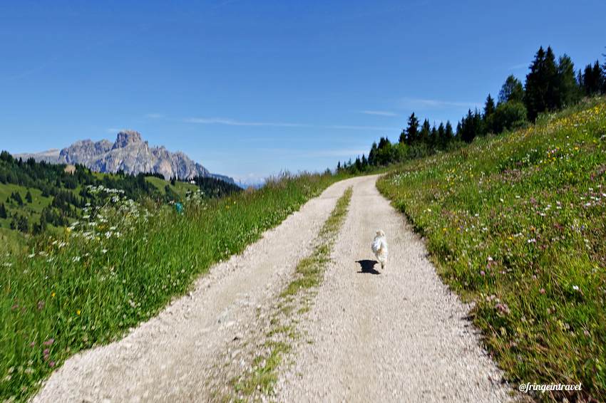 Rifugio Cherz da campolongo Dolomiti3