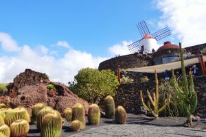 viaggio economico per l autunno-Lanzarote mulino