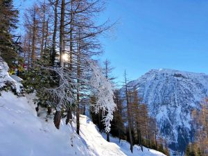 San Domenico paesaggio con neve
