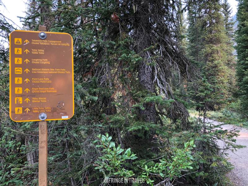 Iceline Trail Top Trekking in Canada15