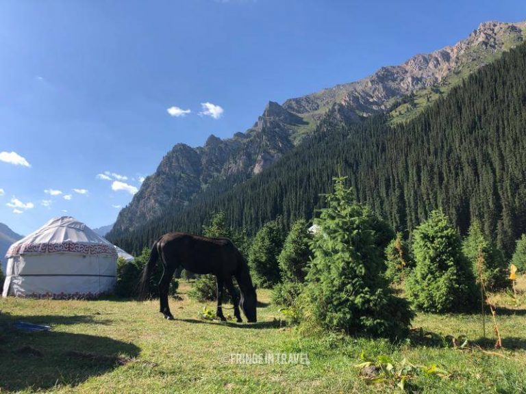 Kirghizistan yurte con cavallo