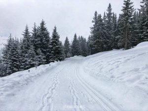 malga calice racines