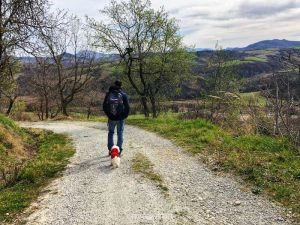 sentiero dell uso rubicone