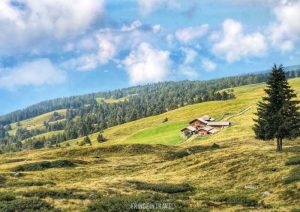 Altopiano Luson Alto Adige6