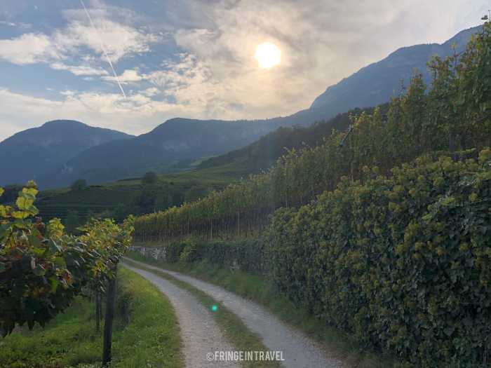 Strada del vino Alto Adige4