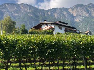 Strada del vino Alto Adige5