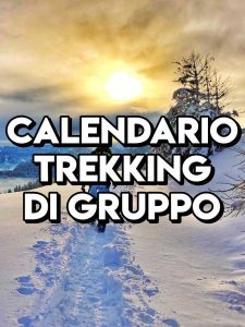 cover trek ddd