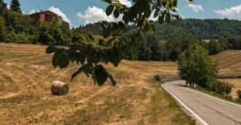 cammino unione fringe