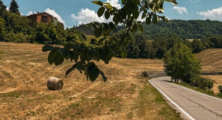 cammino unione fringe